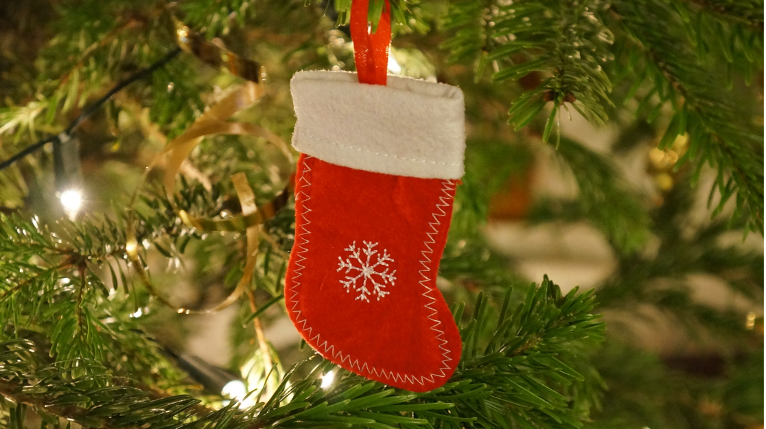 The Perfect Stocking Stuffer: Why Wellness is the Best Gift